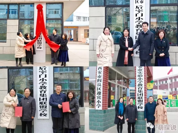 精品一区二区三区视频在线观看：最新动态与精彩内容更新，带你领略不一样的视听盛宴！