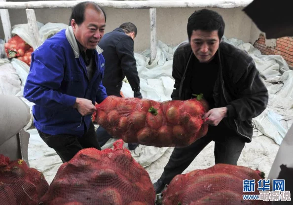 拨黄萝卜又降9幺，分析近期市场动态及其对消费者和农民的影响