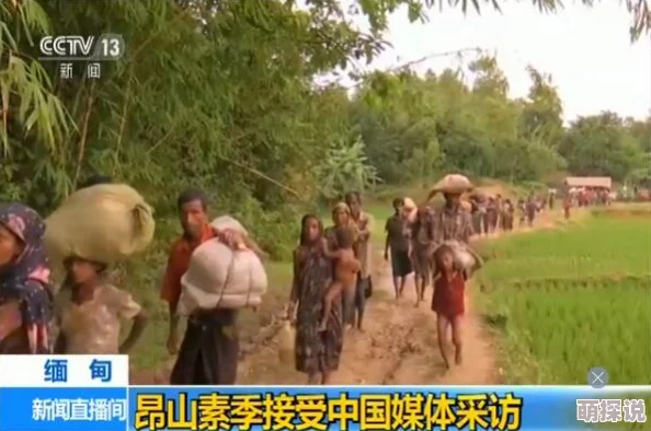 缅甸北部恐怖血腥：冲突升级，数百人流离失所，国际社会呼吁关注人道危机与和平解决方案