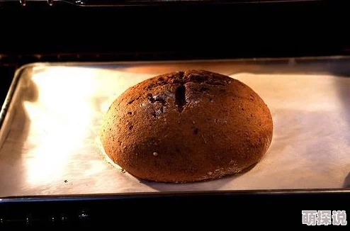 暗喻幻想中的美食探索：揭秘超硬黑面包的独门制作方法