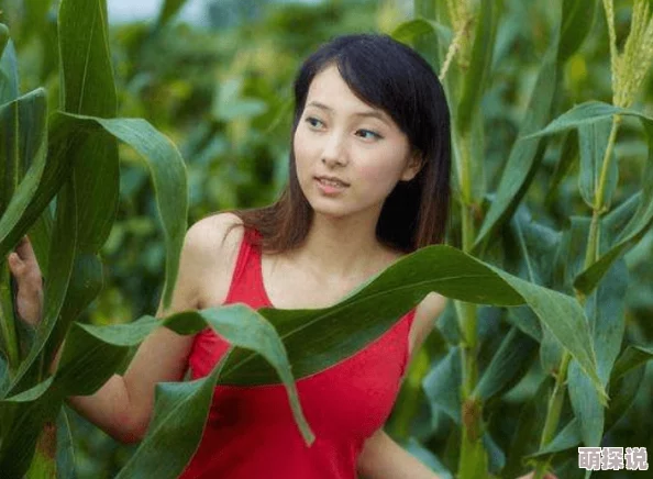 乡村寡妇毛片引发热议，网友热衷讨论其背后的社会现象与女性地位问题，关注农村女性的生存状态与情感需求