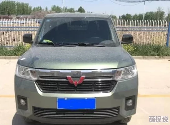 仙踪林company大中国：持续扩展市场布局，推动品牌影响力提升与消费者互动新模式的实施进展