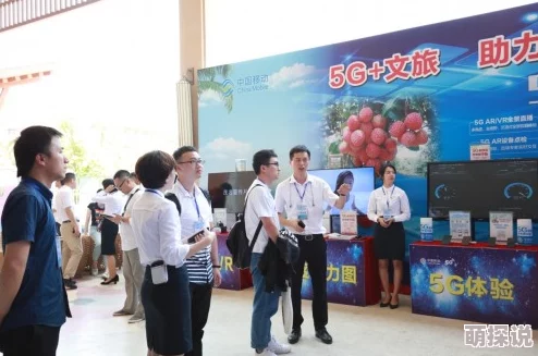 中国高清windows视频的应用场景：教育培训、企业会议、在线娱乐与直播技术的深度解析与发展趋势