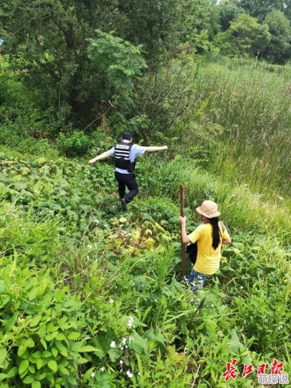 一小时人生：方向标详细制作教程，轻松标记家的方位不再迷路