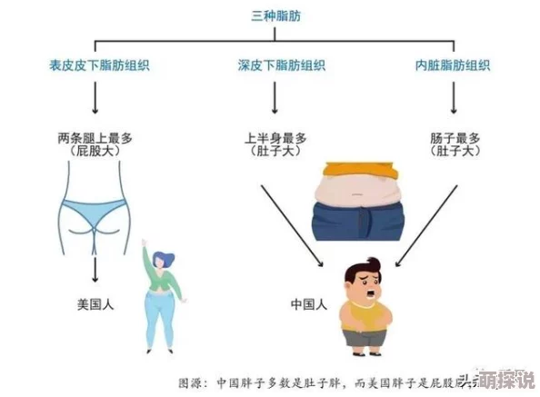 岳肥腚：最新研究揭示其对健康的影响，引发网友热议与关注，专家建议如何科学应对这一现象
