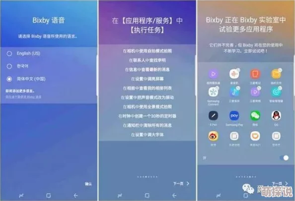 XVIDEOS成人免费中文版：深入了解其内容与用户体验的多样性与丰富性