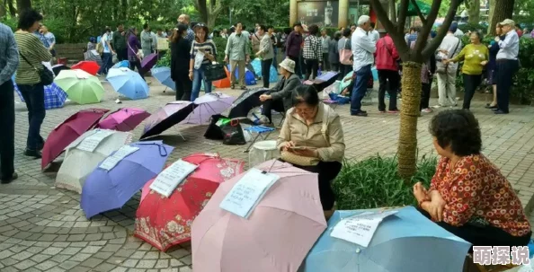 大妈公园20元揽生意，吸引游客纷纷前来体验新奇项目，现场热闹非凡人气爆棚