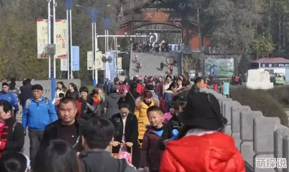 大妈公园20元揽生意，吸引游客纷纷前来体验新奇项目，现场热闹非凡人气爆棚
