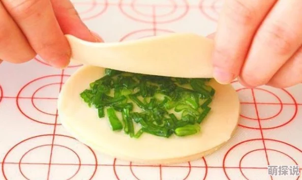 姬小满饺子皮最简单处理方法：教你轻松制作美味饺子的技巧与窍门，快来试试吧！
