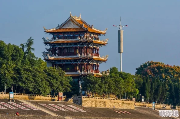 日荡妇怡红院：新动态揭示了这一古老文化场所的现代转型与社会影响，吸引了众多游客和学者的关注