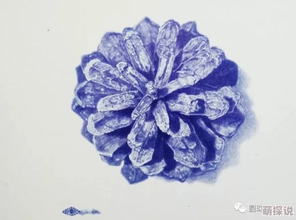 大神精品厕拍：最新动态曝光，带你领略厕所艺术的独特魅力与创意设计！