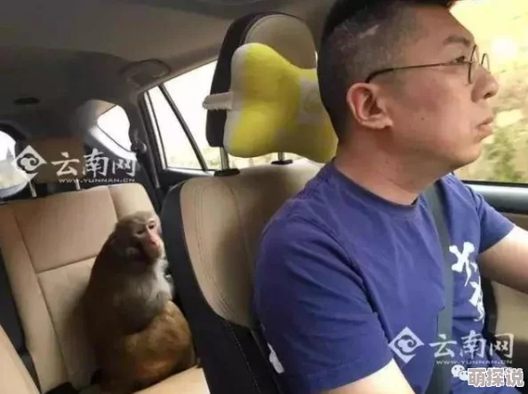 香蕉视频看污引发网友热议，许多人认为其内容低俗不堪，呼吁加强监管与自我约束