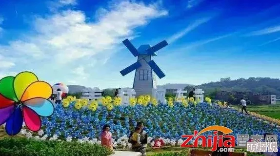 海角绿意盎然披风少年：勇闯自然奇境，展现青春活力与环保精神，引发全球关注！