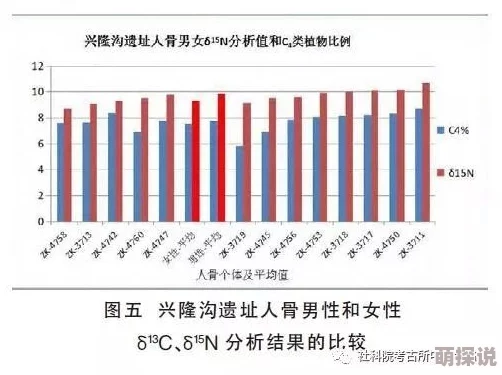男人和女人搞鸡：最新研究揭示性别差异对养殖业的影响及其经济潜力分析