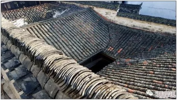 四代土影黑土做钢筋视频：最新技术应用与施工效果展示，助力建筑行业创新发展