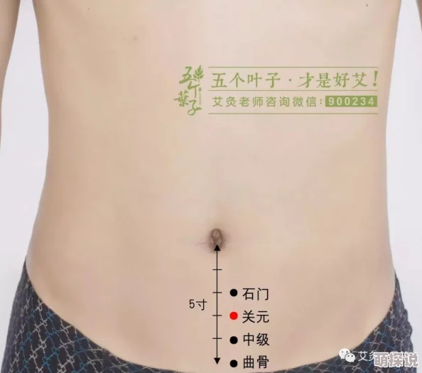 操女人的穴：最新研究揭示女性生理反应与心理状态之间的复杂关系及其对性健康的影响