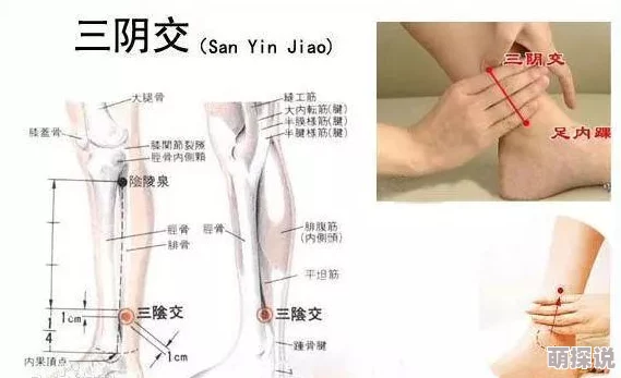 操女人的穴：最新研究揭示女性生理反应与心理状态之间的复杂关系及其对性健康的影响