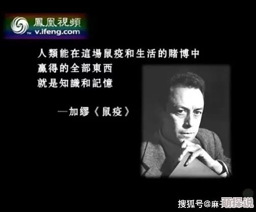 疫情时的往事全文鹿子言小说：一段被遗忘的爱情故事在危机中重燃，感动无数读者心弦！
