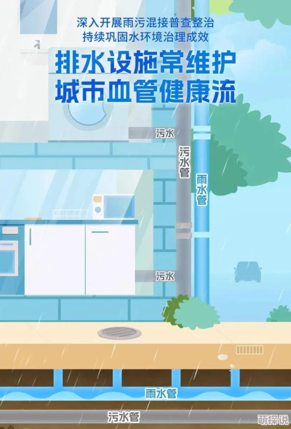 污污视频在线观看黄：最新动态与用户反馈分析，探讨内容监管与平台责任的平衡问题