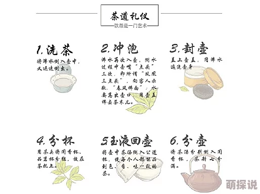 茗心录茶叶品种全面一览与各类煎茶最佳时间汇总指南