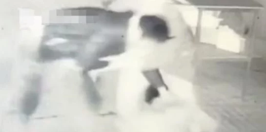 吃奶摸下的激烈免费视频播放，网友们对此表示强烈反对，认为这种内容不应在公共平台传播，影响社会风气