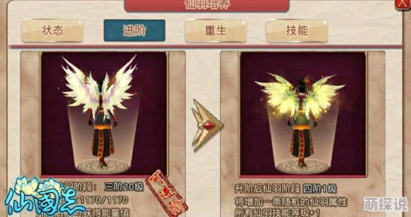 剑神无双：全面解析仙羽法宝养成与升级攻略指南