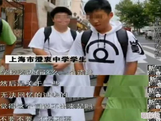 公共场所耻辱h全文引发热议，网友纷纷表示对社会风气的担忧，呼吁加强公共道德教育和法律监管