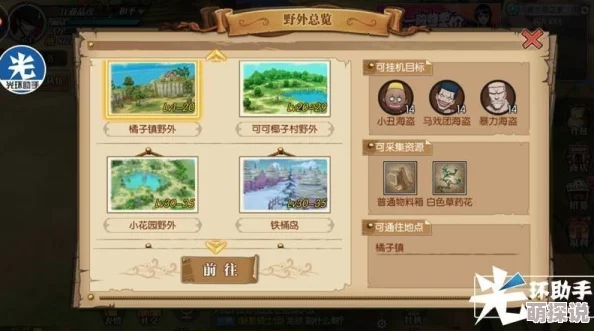 航海王燃烧意志海战攻略：揭秘5大关键注意问题，你真的全都了解了吗？