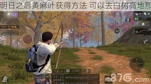 《明日之后》黄麻叶高效获取攻略：探索白树高地及其他途径
