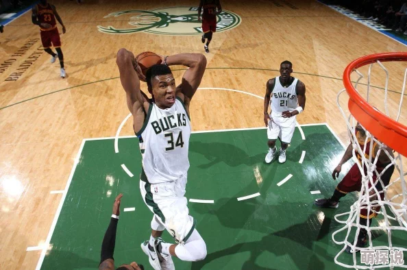 九幺免费版网站nbaoffice6：全面解析其功能特点与用户体验的研究报告及应用案例分析