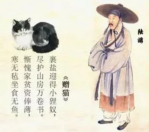 墨魂陆游：深陷猫爪魅力，铲屎官日常图鉴大揭秘