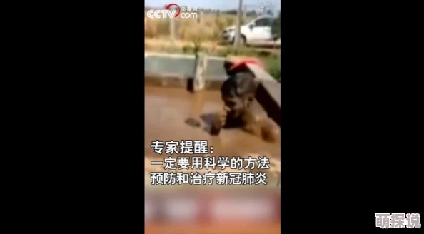 日本人舔阴：探讨这一现象背后的文化背景与社会接受度，揭示其在当代日本年轻人中的流行趋势