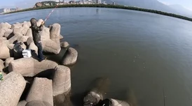 欧美一级大黄