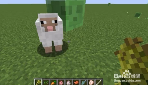 Minecraft珍妮动画网站：了解Minecraft中的珍妮角色及其动画创作的精彩与魅力，带给玩家全新体验与灵感