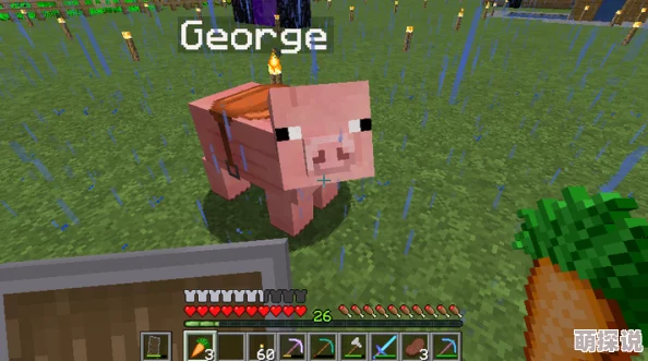 Minecraft珍妮动画网站：了解Minecraft中的珍妮角色及其动画创作的精彩与魅力，带给玩家全新体验与灵感