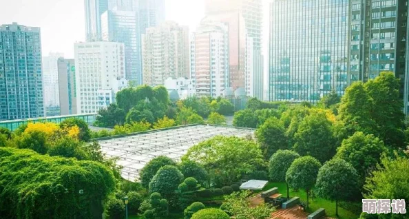 欧美一级午夜免费视频你懂的：最新动态揭示了该领域的新趋势与发展，吸引了众多观众的关注与讨论