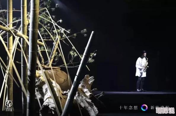 探索日本高清www午夜视频的魅力与独特风格，感受视觉盛宴的极致体验