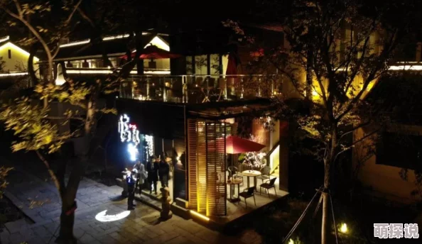 日本一区视频：最新动态揭示了该地区在内容创作和用户互动方面的显著变化，吸引了更多观众的关注与参与