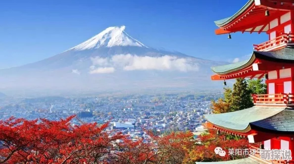 日本夏冰寒说：忍不住亲子性行为中文字幕：最新动态引发广泛关注，讨论家庭关系与社会伦理的复杂性