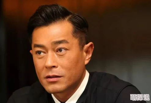 寻秦记手游侠侣系统全攻略：如何成功结婚并享受双人冒险之旅