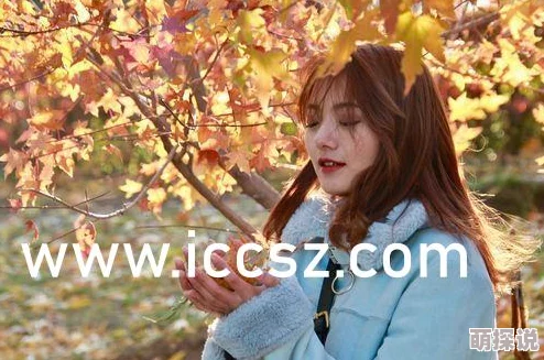 罗宾女帝h乳本子全彩视频：最新动态揭示了该作品在粉丝中的热度持续上升，相关讨论愈发活跃