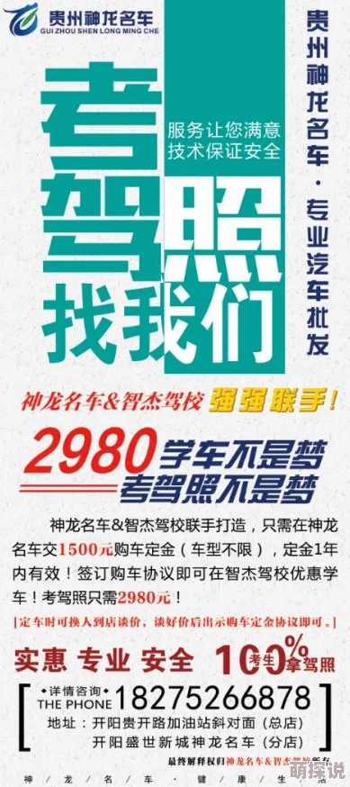 探索免费女上男下动态图的魅力：让你领略不一样的视觉盛宴与情感表达！