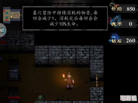 幽行玄城断魂崖地图深度探索技巧：精准定位，寻找隐藏有门的房间策略