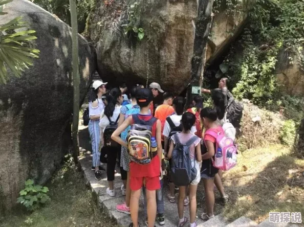 探索草逼动态图的魅力与创意：如何在艺术中表达自然之美