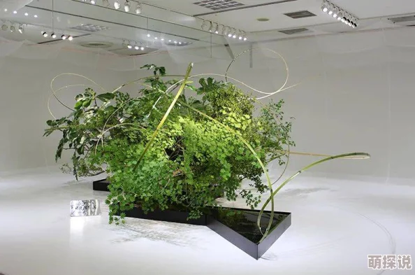 探索草逼动态图的魅力与创意：如何在艺术中表达自然之美