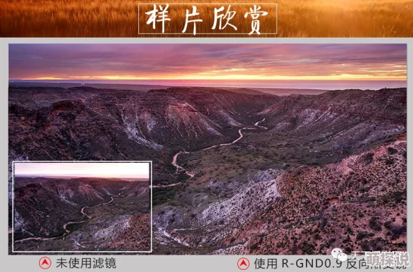 探索色噜噜五月综合激情的无限魅力，感受多元文化交融带来的全新视角与体验