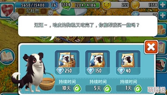 全民农场攻略：小狗哈皮喂养技巧与注意事项全面解析