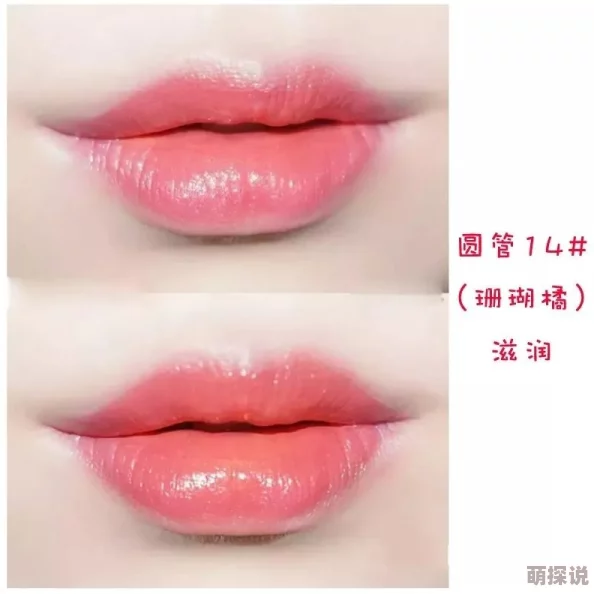 ysl千人千色ysl水蜜桃jk：全新配色发布，时尚界再掀热潮，快来看看你的专属风格！