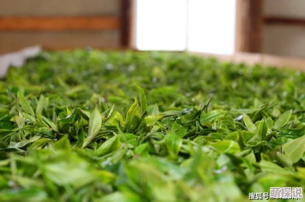 永久免费毛片：最新动态揭示了该平台用户增长迅速，内容更新频繁，吸引了大量新用户的关注与参与