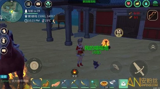 创造与魔法游戏攻略：如何捕捉宠物猫及寻找猫咪位置指南